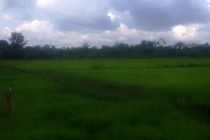 Khu đô thị đại học “treo” 10 năm vì khó đền bù, giải tỏa