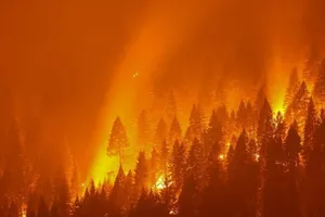 Liên Hợp Quốc báo động thời tiết thế giới đang trên đà nóng nhất trong 7 năm qua. Ảnh: SCMP