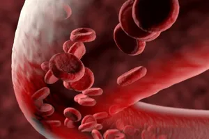 Israel phát hiện 5 loại protein trong virus SARS-CoV-2 gây tổn thương mạch máu. Ảnh: DRUG TARGET REVIEW