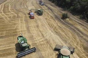 Trung Quốc dỡ bỏ mọi hạn chế nhập khẩu lúa mì từ Nga giữa khủng hoảng Ukraine. Ảnh: SCMP