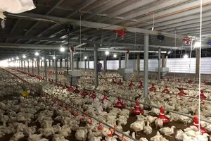 Cơ sở dữ liệu quốc gia có ích gì cho người chăn nuôi?