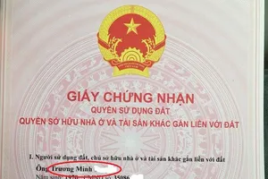 Bạn bè với nhau có được cùng đứng tên trên sổ đỏ?