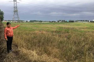 Có được miễn trước bạ khi chuyển sang đất nuôi trồng thuỷ sản