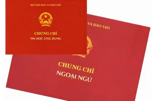 Bỏ chứng chỉ ngoại ngữ, tin học: Cán bộ, công chức còn bồi dưỡng những gì?