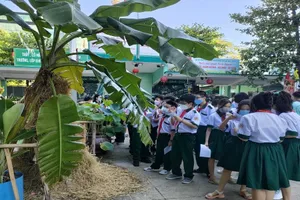 Những tiết học đặc biệt: Đi khắp sân trường để học bài