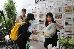 Những cửa hàng xanh độc đáo tại TP.HCM