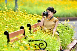 Check-in chốn pháp đình