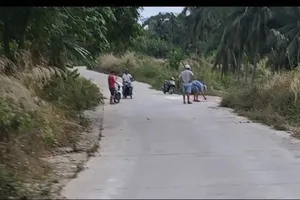 Chính quyền thông tin về 1 vụ xịt sơn nhầm trên đất của người khác