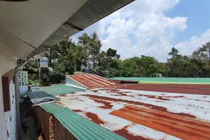 Lâm Đồng: Chính quyền trả lời về kiến nghị xử lý hành vi lấn chiếm đất công