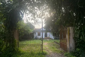 Cục THADS TP.HCM thông tin về vụ 'Không thể nhận di sản vì tòa và thi hành án trái quan điểm'