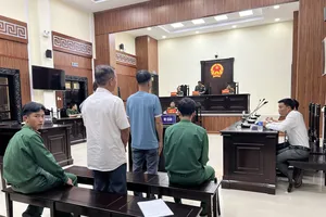 Hủy án vụ 'chở thuê hai chuyến hàng, án nặng như chủ mưu'