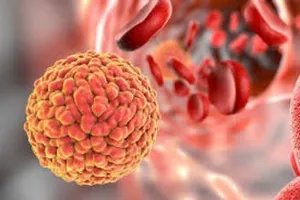 Một người Việt Nam nhiễm virus Zika khi du lịch Nhật Bản