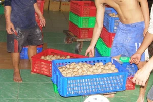 Ung thư bắt nguồn từ thực phẩm bẩn chiếm 35%