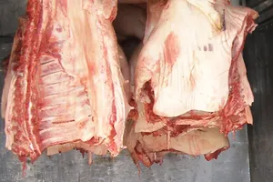 TP.HCM 'hứng' heo chết và bơm nước của Long An