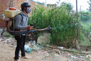 Quận 12 ráo riết phòng chống dịch Zika