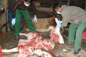 Dân cung cấp 45 thông tin về giết mổ gia súc trái phép