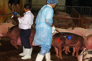 Chất cysteamine chính thức bị cấm sử dụng