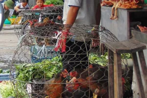 Còn điểm bán gia cầm trái phép, phường chịu trách nhiệm