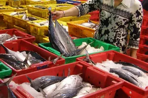 Đỏ mặt, nhức đầu do ăn cá dính độc chất