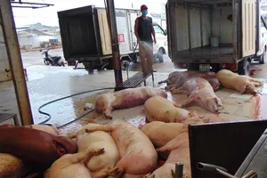 'Đầu độc người khác không ân hận, xử phạt lại kêu ca'