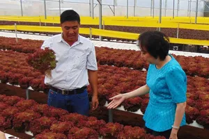 'Không biết bà Lan là ai nhưng chúng tôi rất ủng hộ'