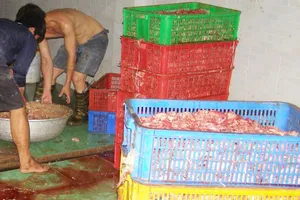 'Nhiều cơ sở đã nhờn luật, phải phạt nặng mới sợ'!