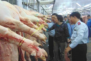 Heo lở mồm long móng bị chặt 4 chân để 'che mắt' người mua