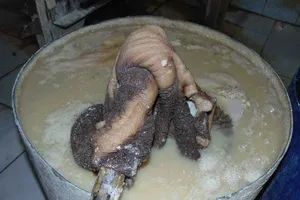 “Hô biến” sách bò đen thui thành trắng toát