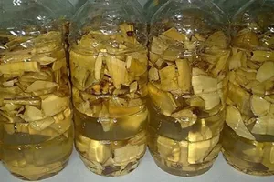 TP.HCM: 1 người tử vong vì uống rượu ngâm rễ cây