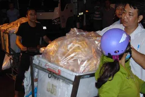 Phát hiện sai phạm ở trung tâm giết mổ gia cầm lớn tại TP.HCM