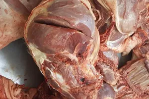 Thịt heo bệnh lại suýt vô chợ Bình Điền