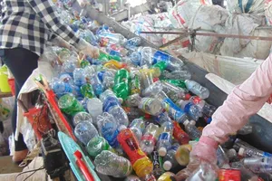 Chai nhựa trong bệnh viện 'lạc trôi' đến nơi đâu?