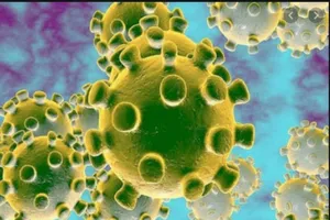 Thông tin mới nhất về bệnh nhân 326 nghi tái nhiễm COVID-19