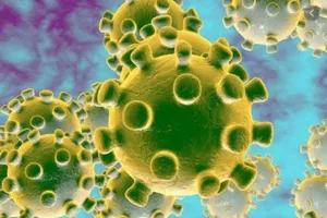 TP.HCM: Một người ở viện kiểm sát quận là F1 bệnh nhân 1451