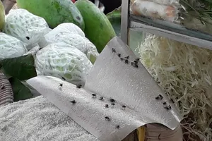 Ruồi, mèo 'quậy tưng' khu vực chế biến thực phẩm