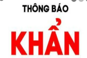 Khẩn: Ai từng tới MM Mega Market An Phú nhanh chóng khai báo y tế