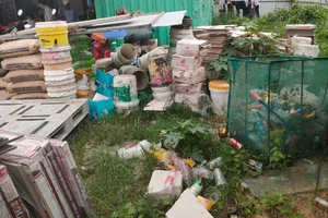 TP.HCM ghi nhận gần 110 ca sốt xuất huyết nặng