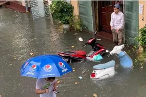 TP.HCM là một trong 10 TP có số dân bị ảnh hưởng do ngập lụt 