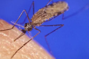 TP.HCM khai thác yếu tố tiền sử đi lại đối với người bị sốt