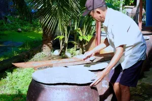 TP.HCM ghi nhận 23 ca tử vong do sốt xuất huyết trong năm 2022