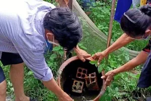 Bệnh nhi 8 tuổi ngưng tim, ngưng thở trước nhập viện do sốc sốt xuất huyết 