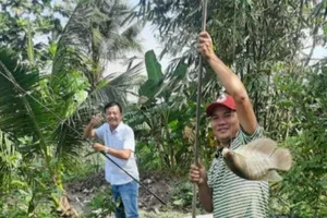 Về vùng quê câu cá, làm mồi lai rai đón giao thừa tết Tây