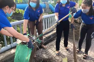 TP.HCM: Thanh niên ra quân dọn rác và bóc xóa quảng cáo trái phép