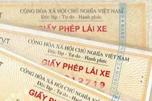 Mỗi người chỉ được cấp một giấy phép lái xe