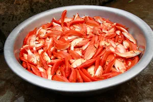 Làng cá chép vào mùa cúng ông Công ông Táo