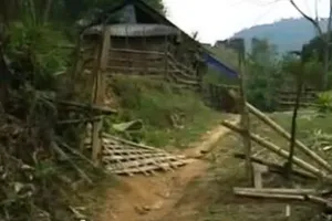 Voi rừng phá nhà cửa, hoa màu của người dân