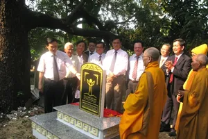 Xoài “tiến cung” được công nhận là Cây di sản Việt Nam