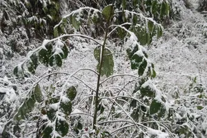 Nhiệt độ giảm sâu, Sa Pa bắt đầu xuất hiện băng giá