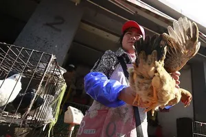 Thêm người chết vì virus cúm gia cầm H7N9