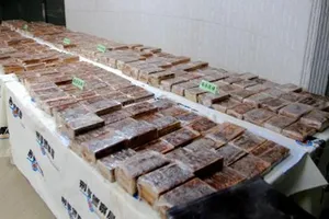 Khởi tố vụ 600 bánh heroin lọt qua sân bay Tân Sơn Nhất